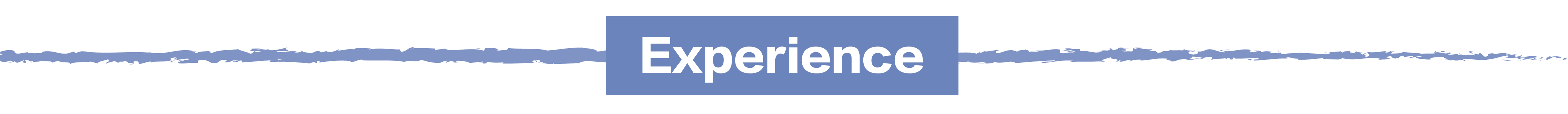 exprience.png