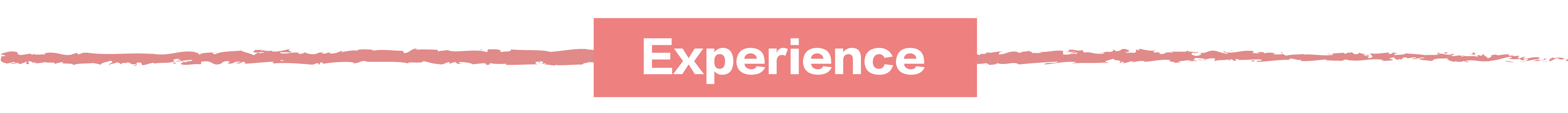 experience.png